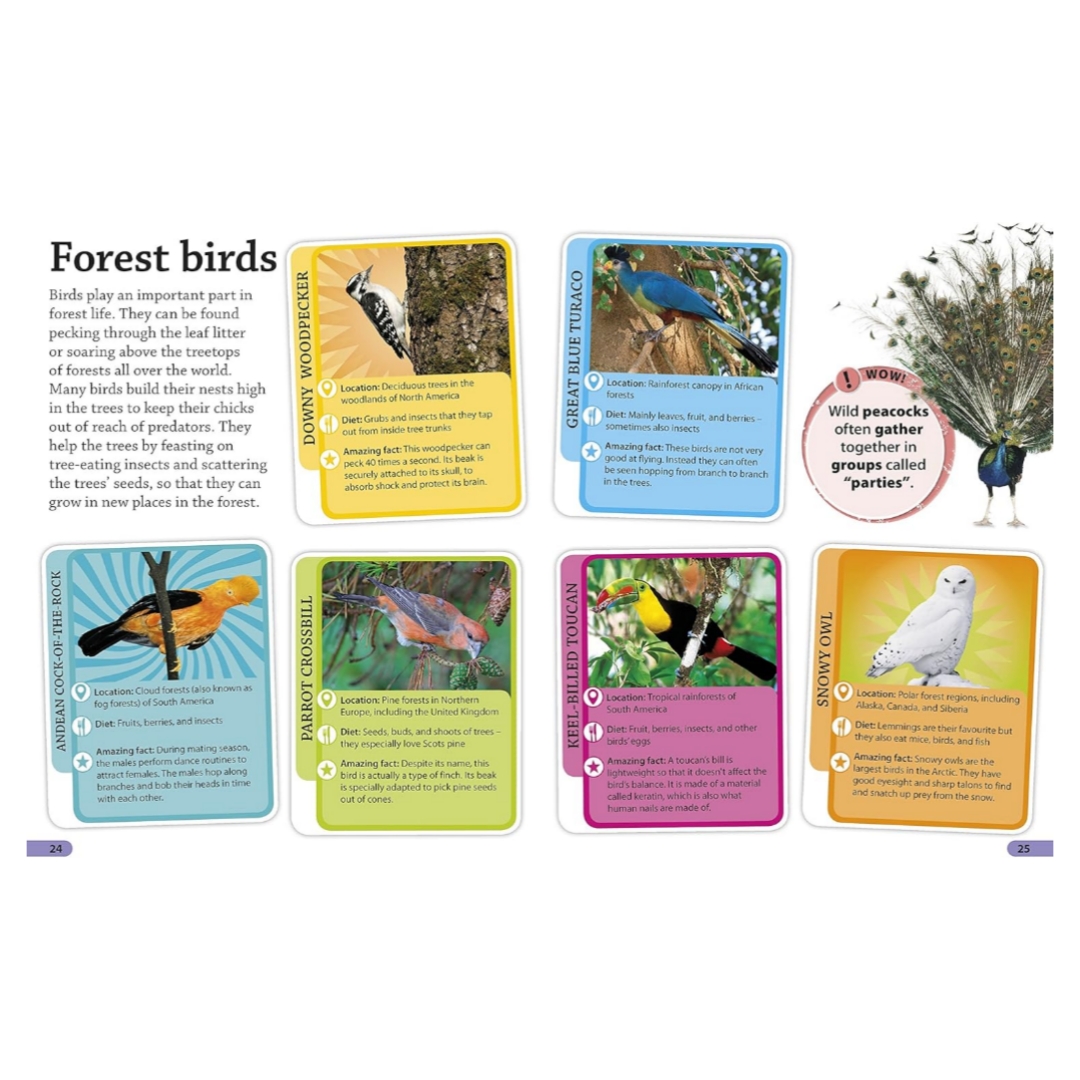DK Find out! Forest What Do You Want to find out ? Fun Facts, Amazing Pictures,Quizzes - Image 4