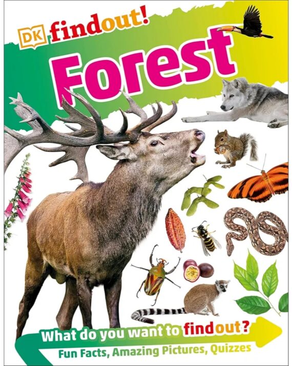 DK Find out! Forest What Do You Want to find out ? Fun Facts, Amazing Pictures,Quizzes