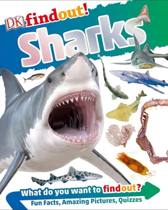 DK Find out! sharks What do you want to findout? Fun Facts, Amazing Pictures, Quizzes