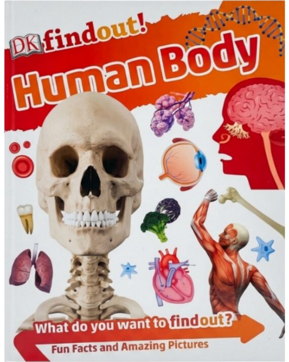 DK Findout! Human Body What do you Want to findout? Fun Facts and Amazing Pictures