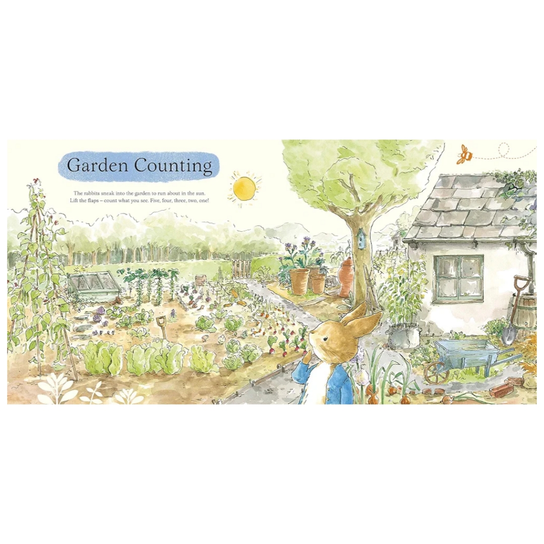 What Can You See Peter? a peter rabbit lift-the-flap book - Image 2