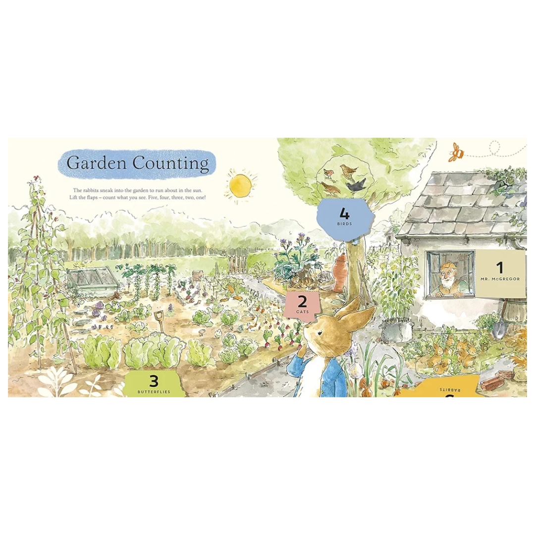 What Can You See Peter? a peter rabbit lift-the-flap book - Image 3