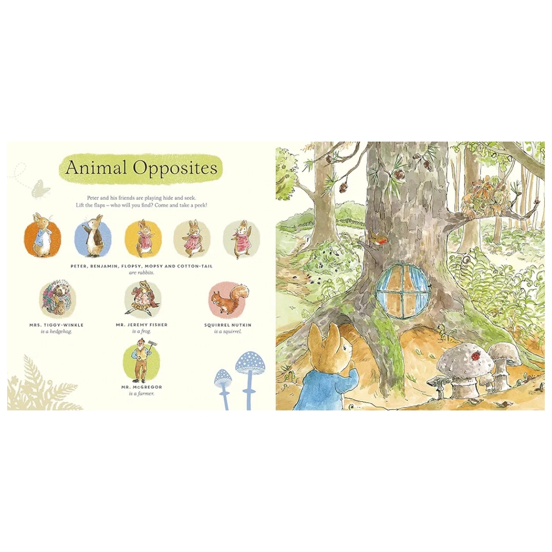 What Can You See Peter? a peter rabbit lift-the-flap book - Image 4