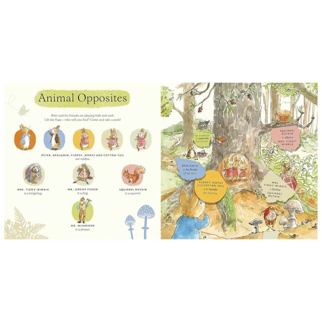 What Can You See Peter? a peter rabbit lift-the-flap book - Image 5