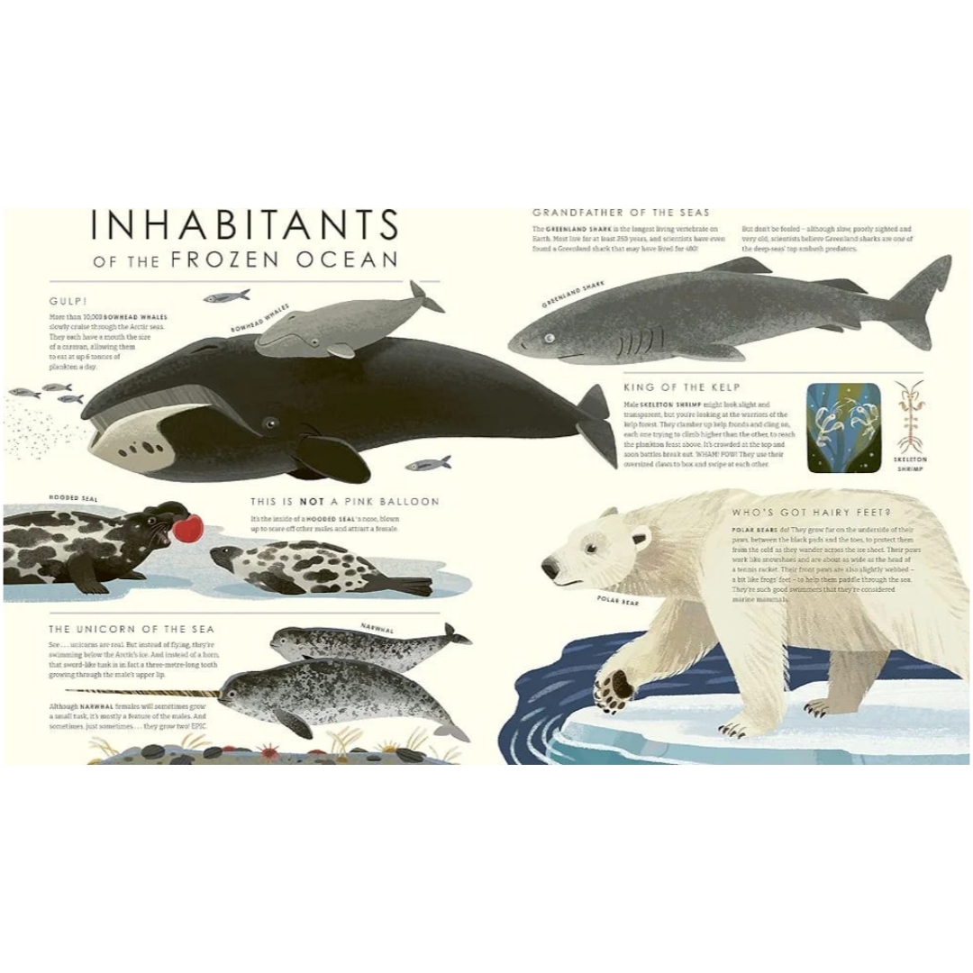 Frozen Planet II - Image 2