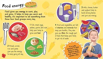 Science in Action: Human Body - Your Digestive System - Image 2