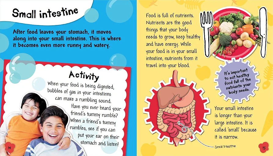 Science in Action: Human Body - Your Digestive System - Image 6