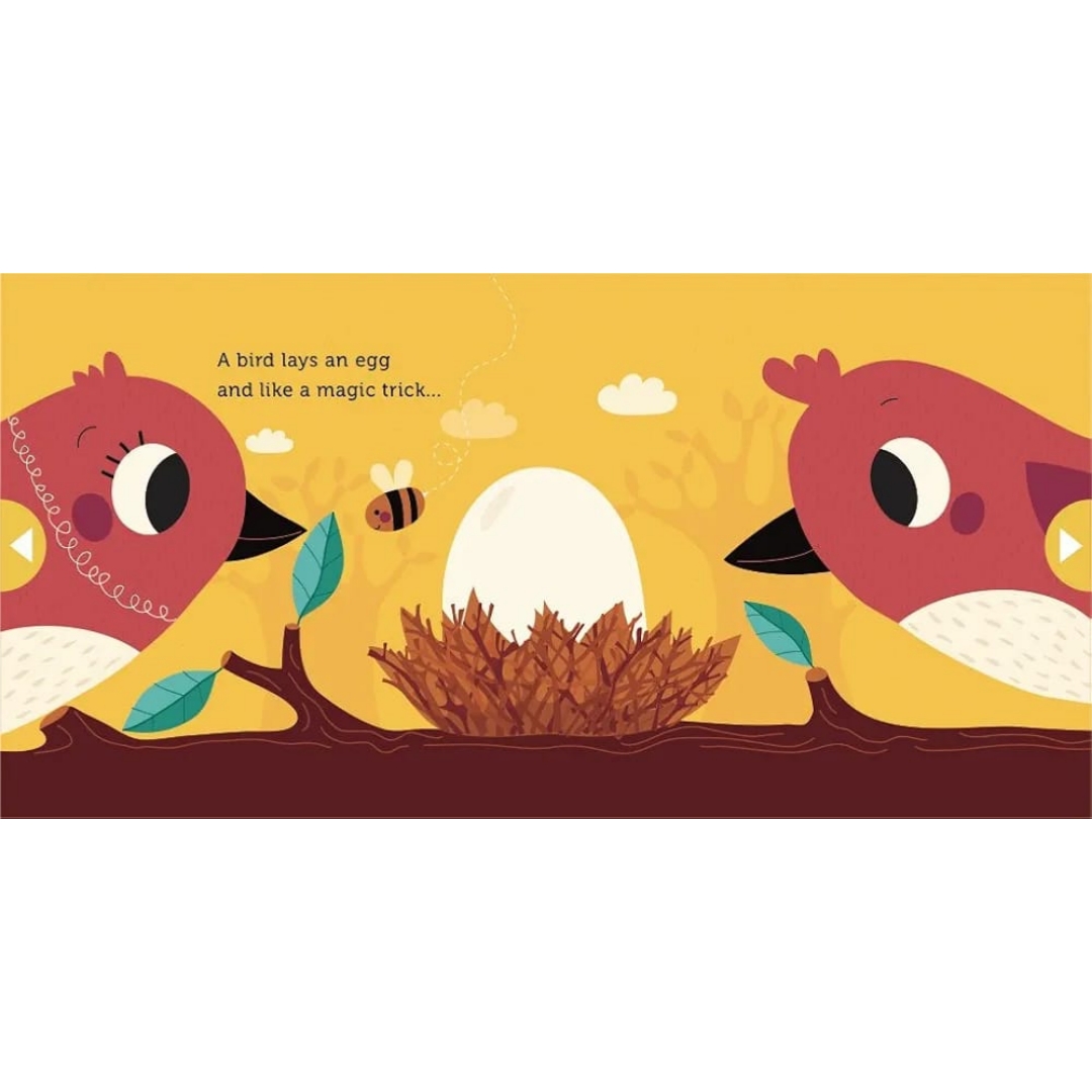 Slide and See: Meet the Animals: For small hands and big imaginations - Image 5