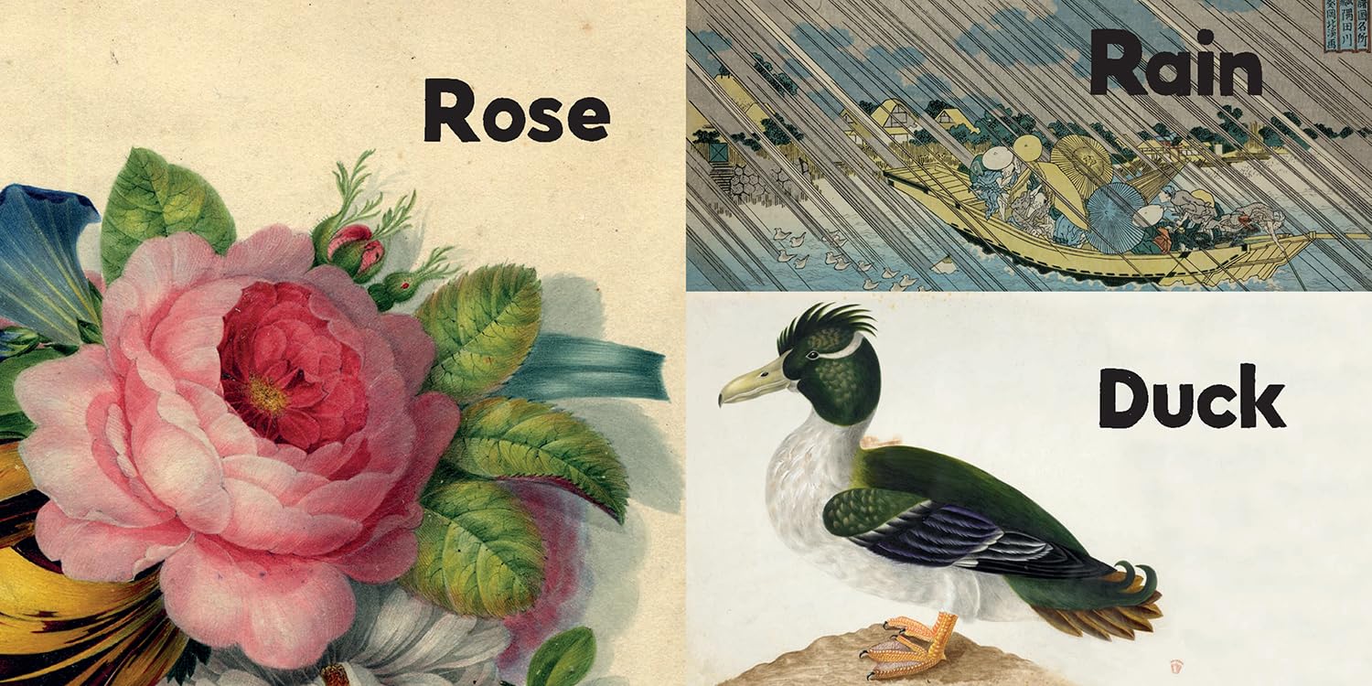 Nature: Early Learning at the Museum - Image 4